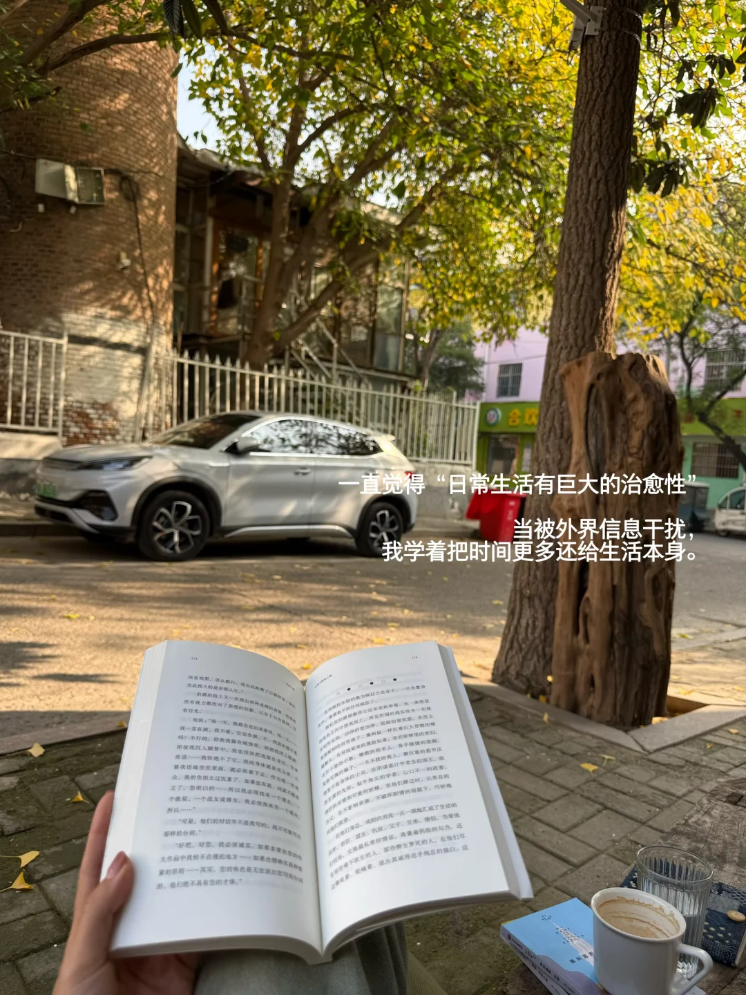 她的一周，散步 看书，过具体的生活。