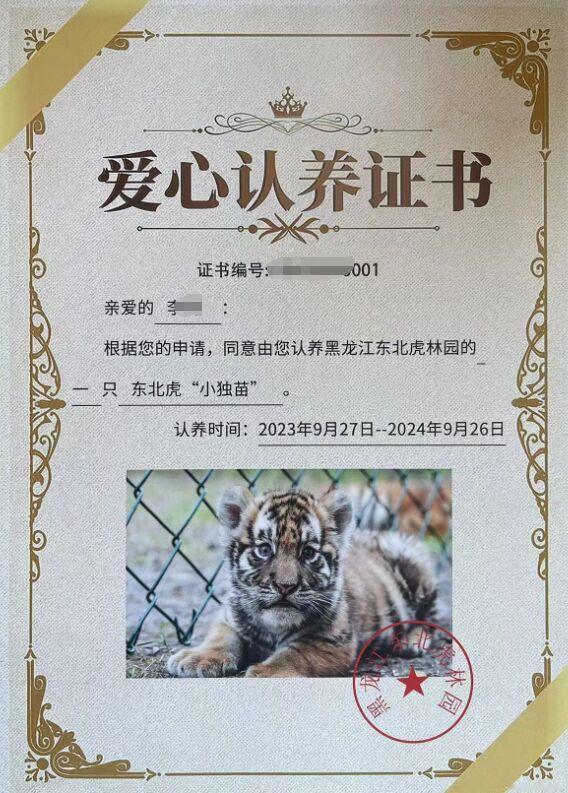 女子花2000多元认养东北虎“小独苗”两年，结果却被隐瞒死讯。李女士从2023年
