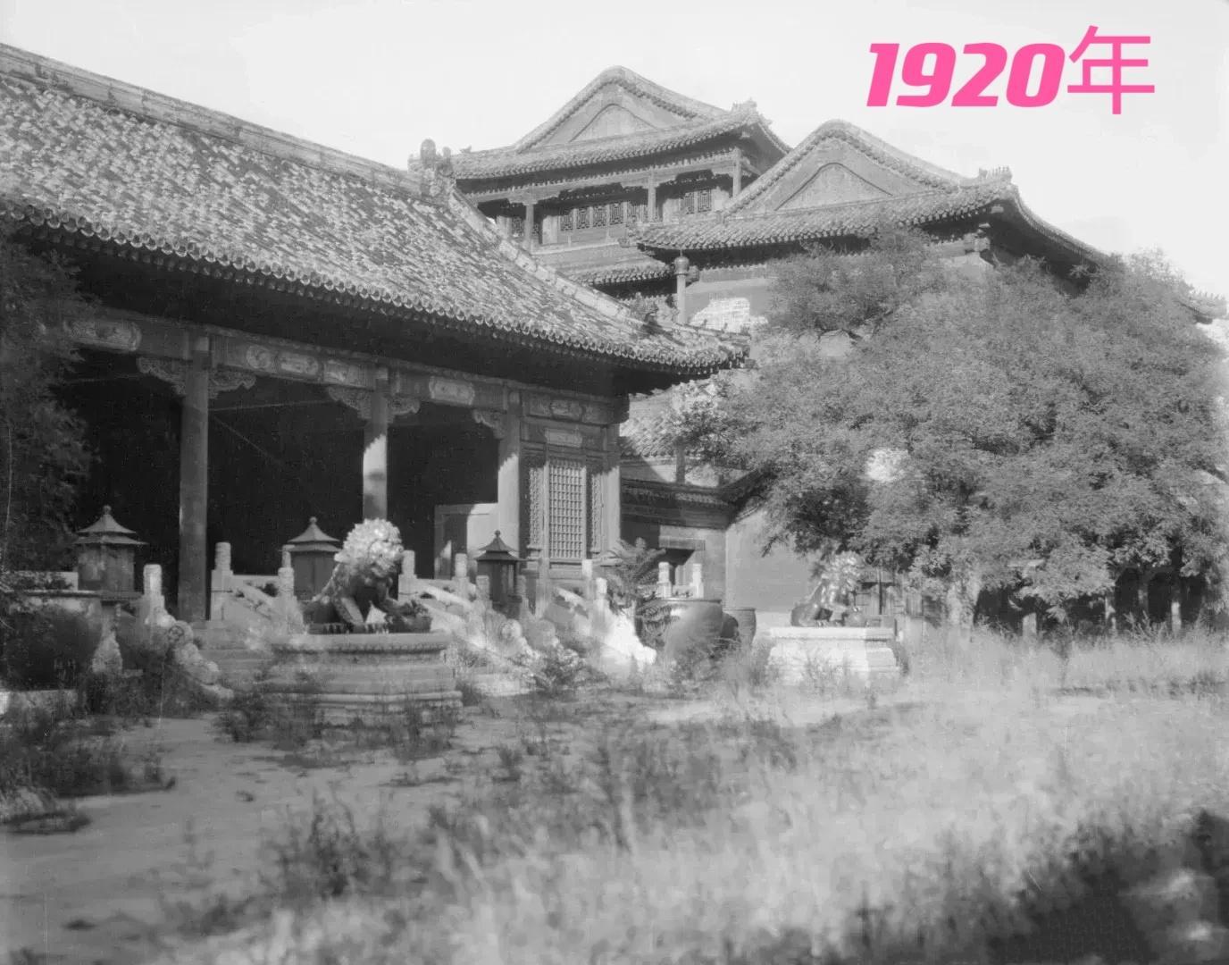 故宫100年，感谢毛主席。[鲜花] ​​​