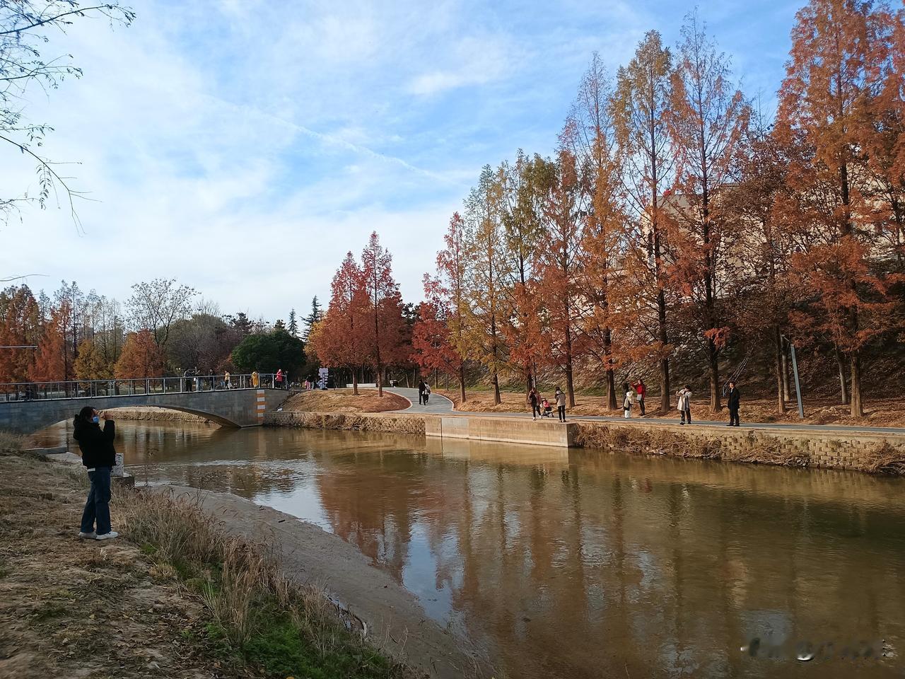 不知不觉中最低气温已经零下了，这两天天气晴好，下午的太阳晒得人暖洋洋的。准确来说