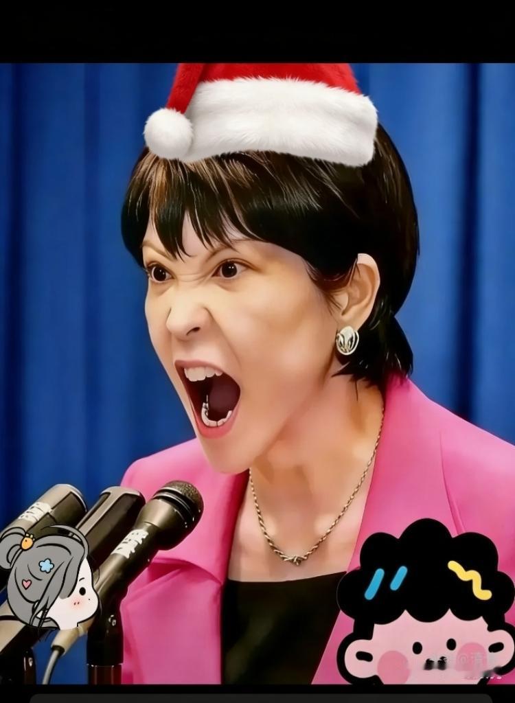 看到个消息，日本那边又坐不住了，说是2026年1月又要组个大团来北京。

名头倒