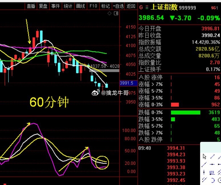 弱狗行情，继续多看少动 