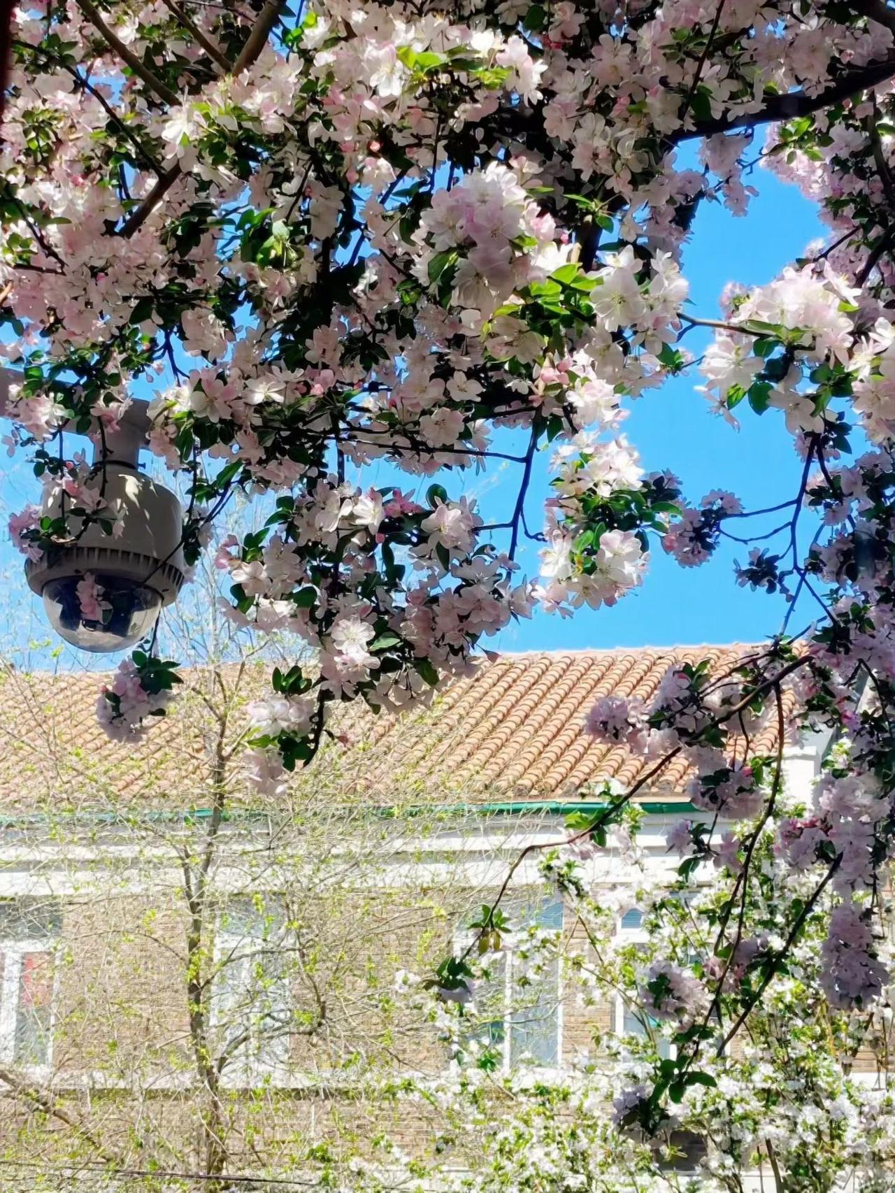 今天回老家收拾屋子，房子租出去了。老邻居说：这下宽裕点了。

我说：不会啊，房租