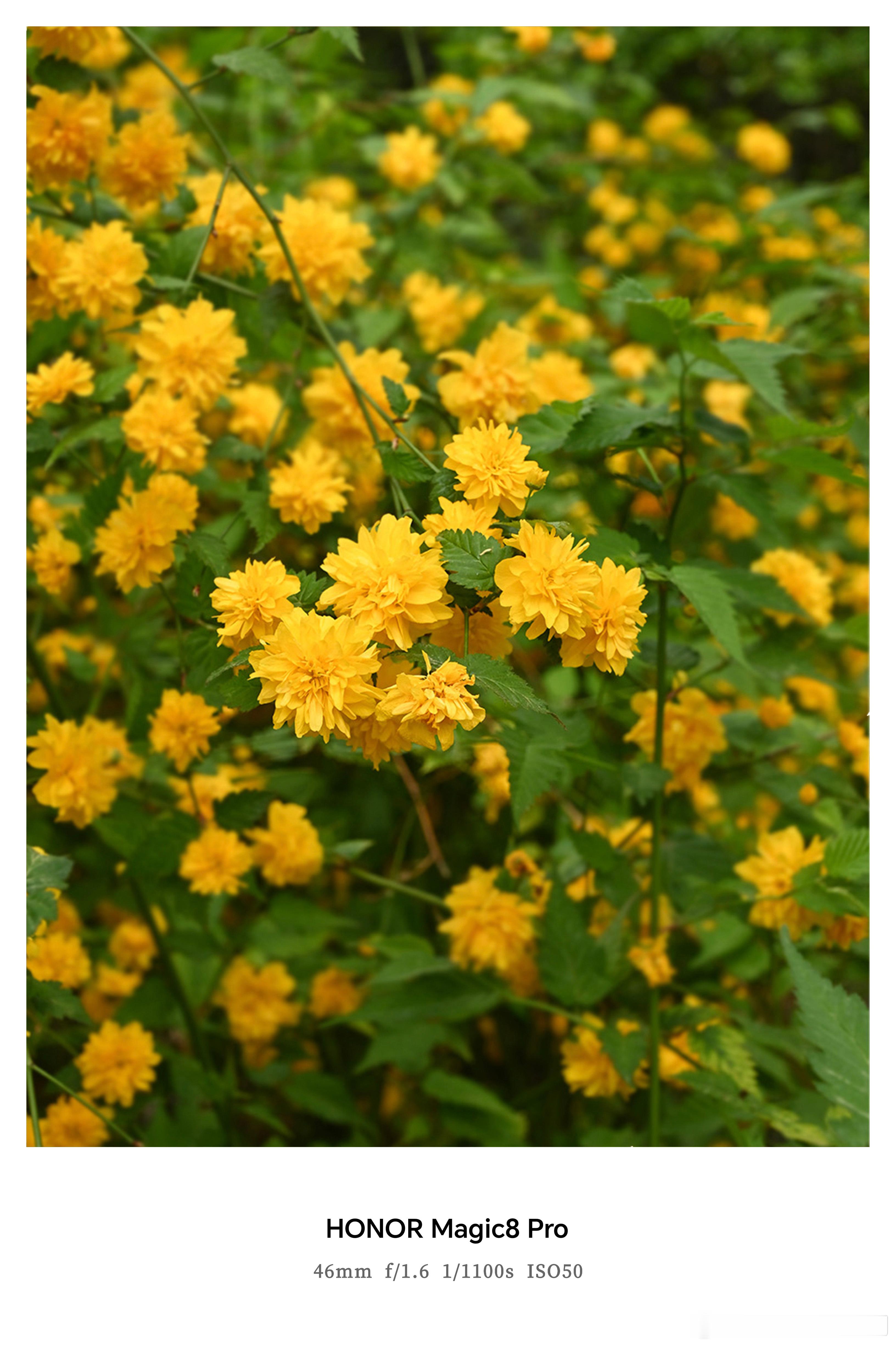 谁懂这次换手机的意义 ✨谁懂换手机的意义！专为拍文旅美景准备，0滤镜直出质感拉满