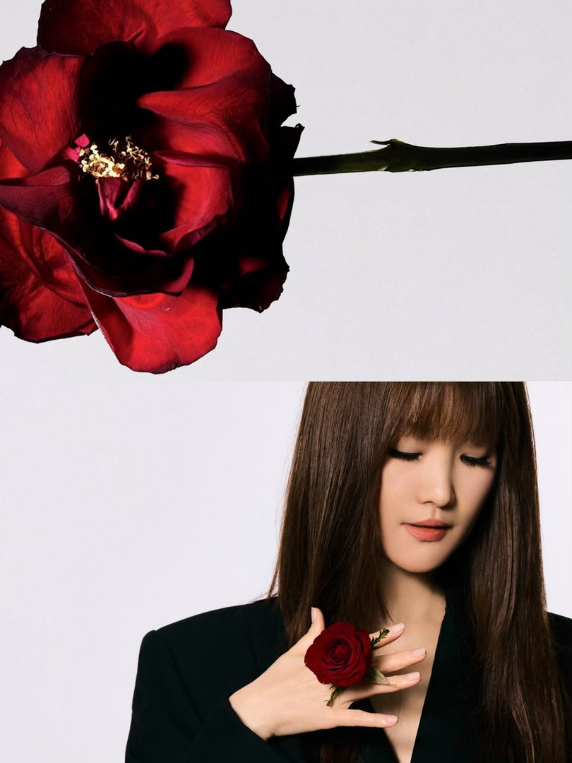 金海心不断有各种物料，之前发ost，五一有音乐节，现在去给陈粒当演唱会嘉宾都会释