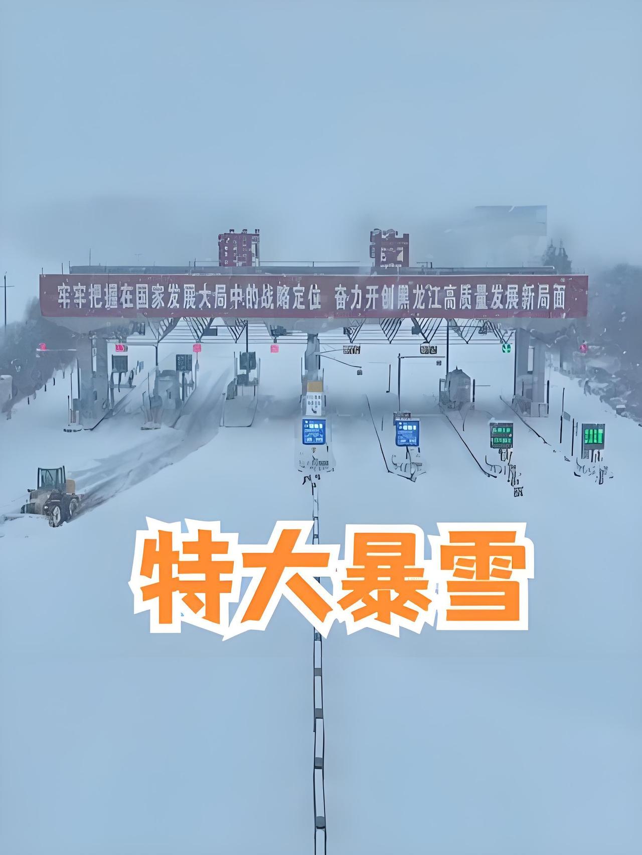 黑龙江的冬天，总爱来点惊喜，可这回的雪可不是闹着玩的。从26号开始，中东部地界就