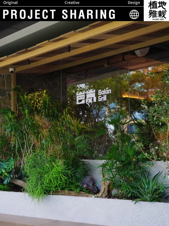 案例✿｜上海岜岚｜店铺植物景观设计落地