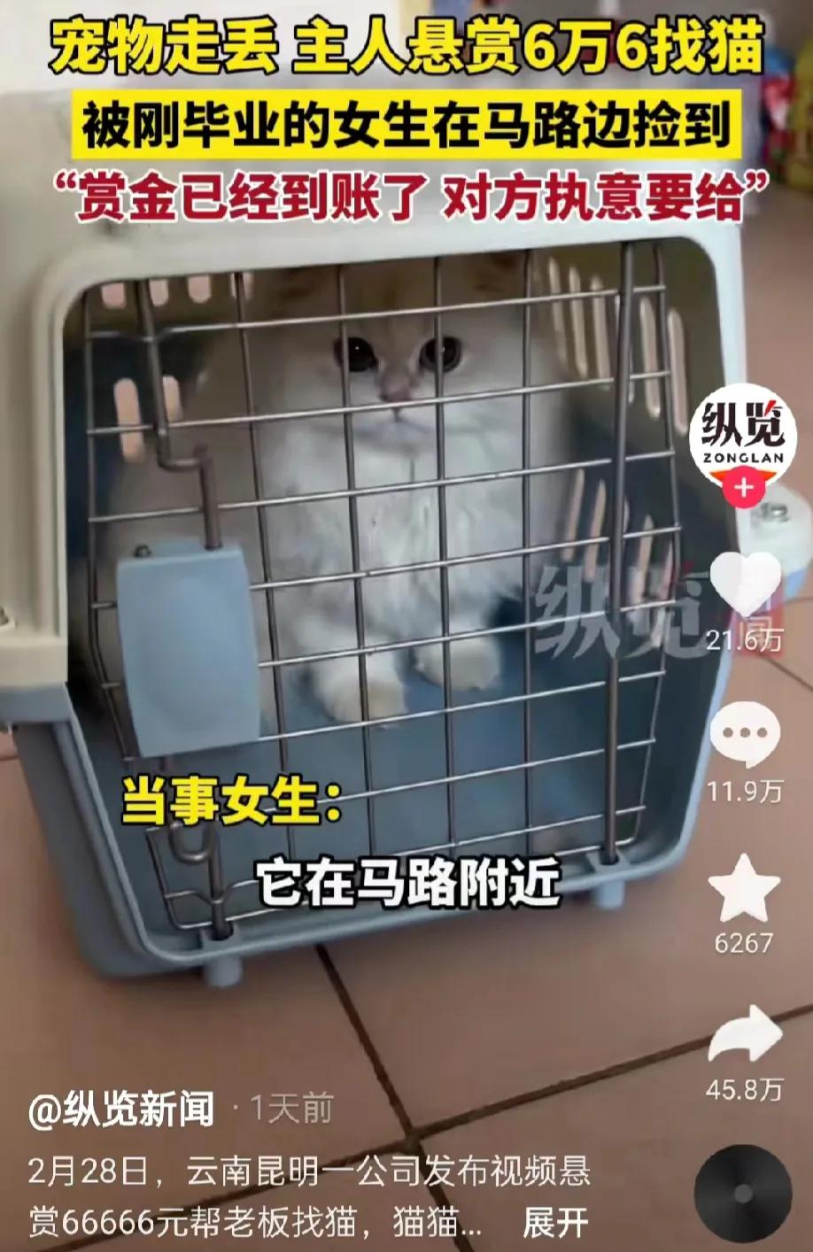 “好心有好报！”云南昆明，一刚毕业女大学生，在马路边发现了一只猫咪，询问了周围的