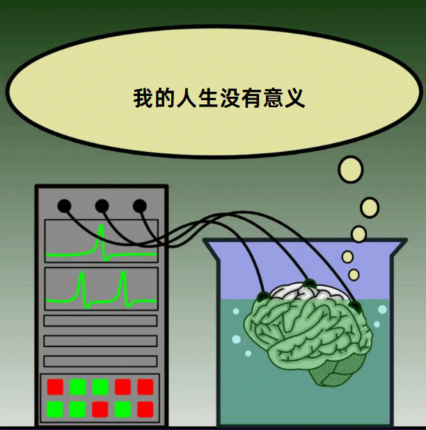 缸中之脑meme ​​​