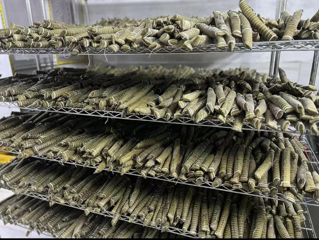 这是什么？