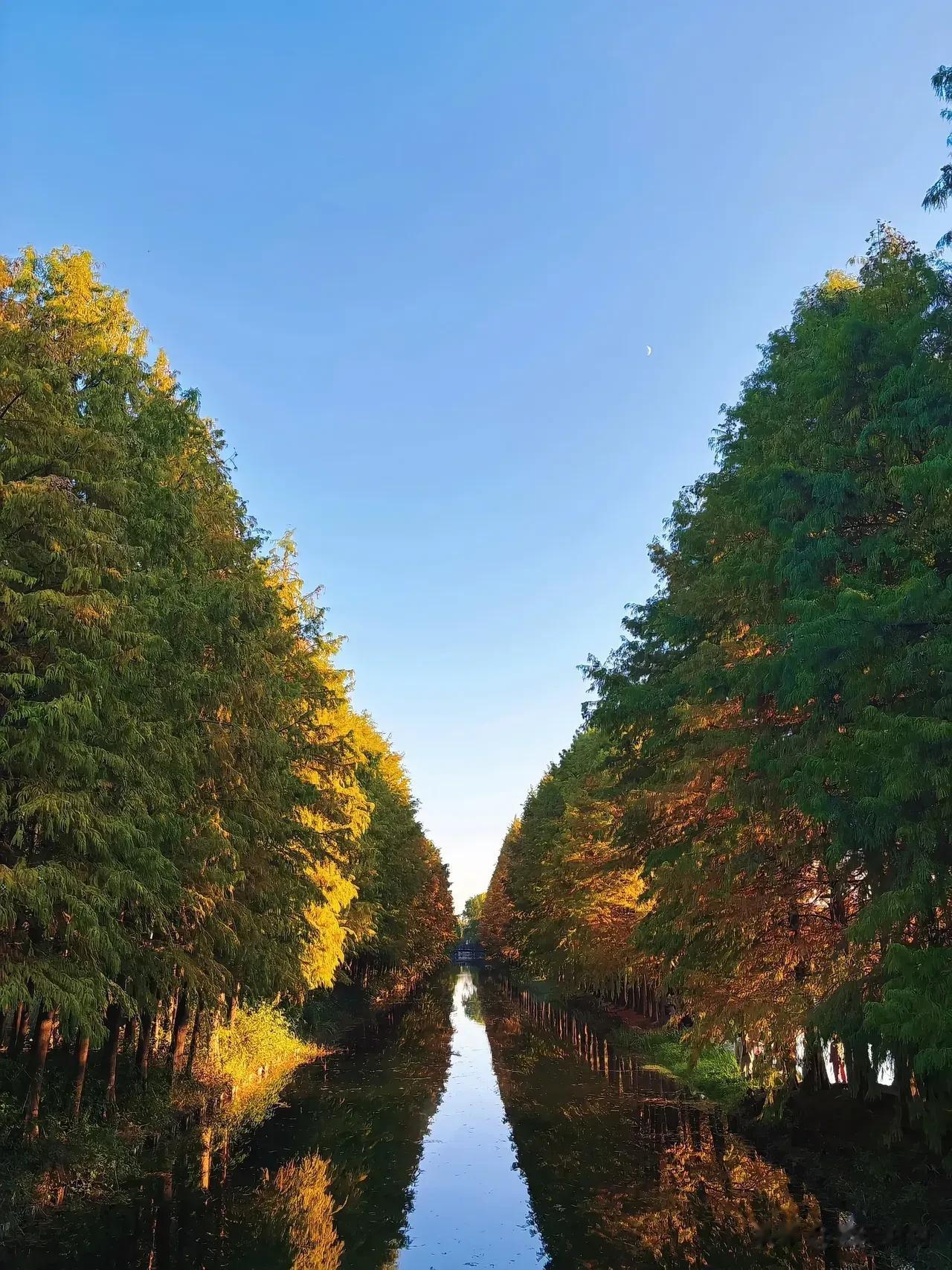 晚秋美景