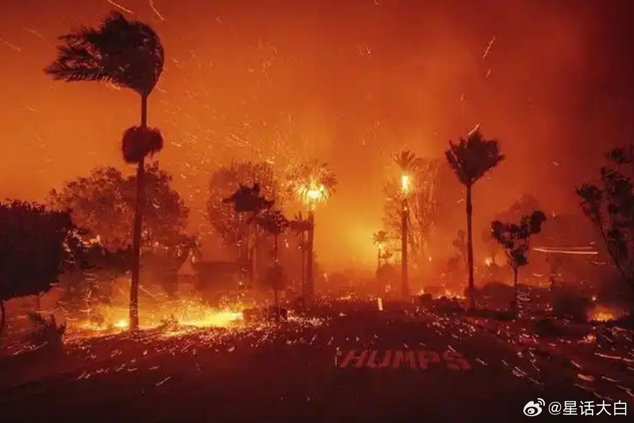 美国规模最大的保险公司之一州农保险公司（State Farm）表示，去年已经以避