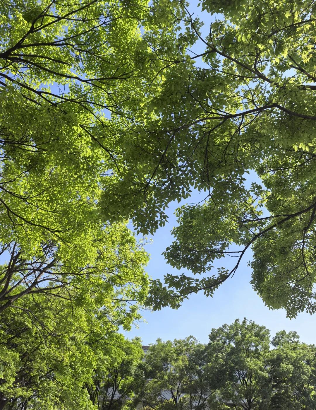 愤怒的另一种形式—正义感
4.11 我妈说楼下新装来的在扩院子，扩的很大还有阳光