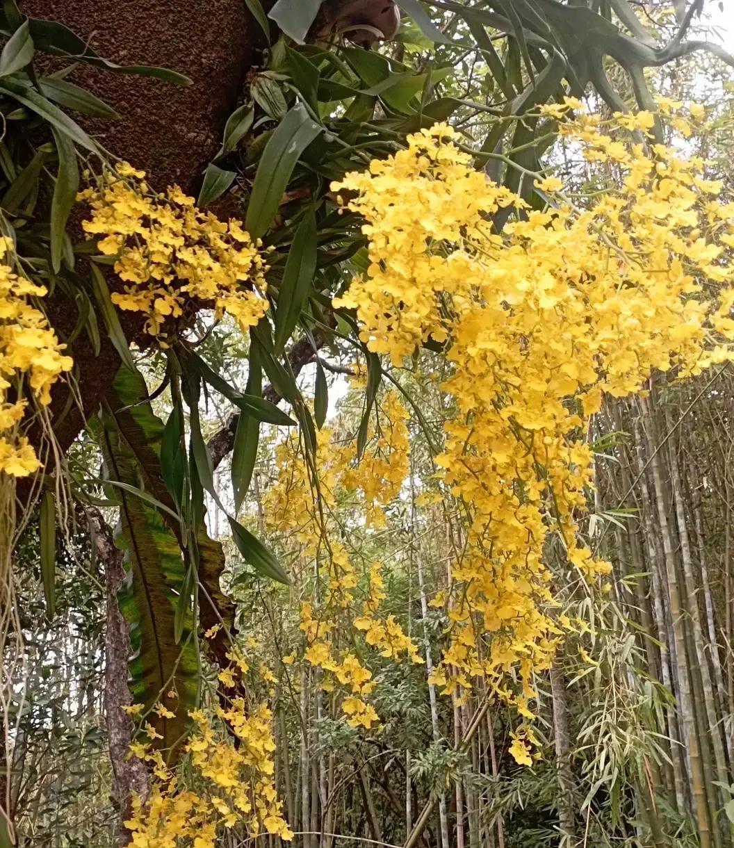 看到一个阿姨说她因为经常被前夫家暴，被打得走投无路，跑出来做保姆，从55岁做到6