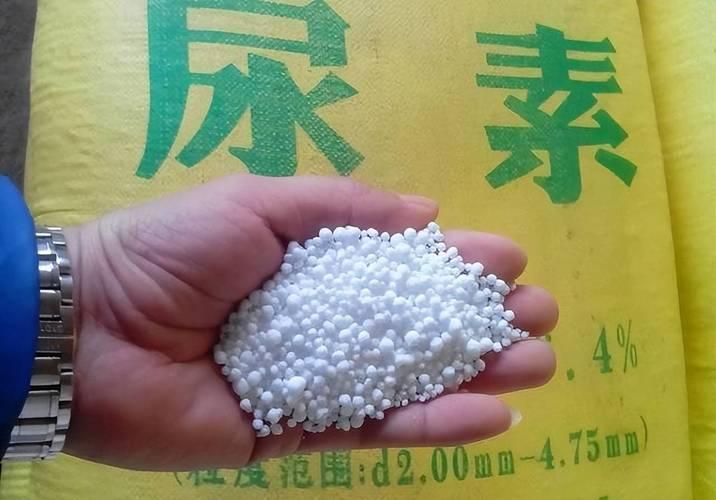 印度人拍了个抗中神片，结果还没上映，印度政府自己先把它给“毙”了，影片原名《加勒