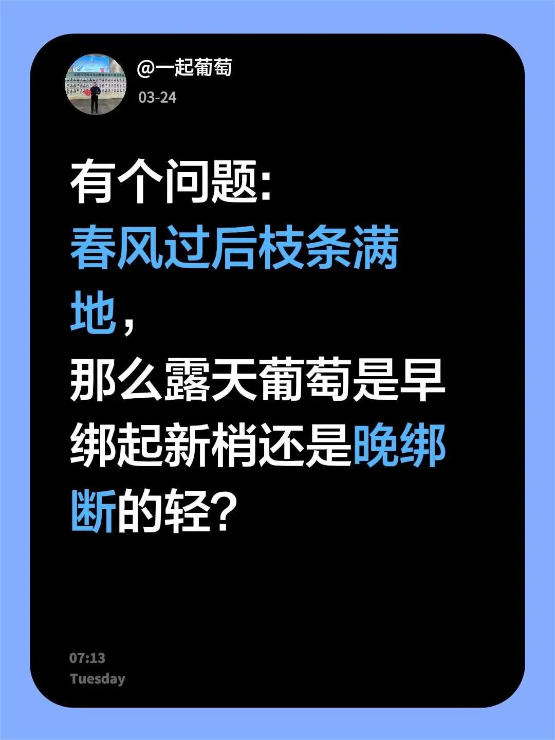 关于绑枝。有个问题:春风过后枝条满地，那么露天葡萄是早绑起新梢还是晚绑断的轻？