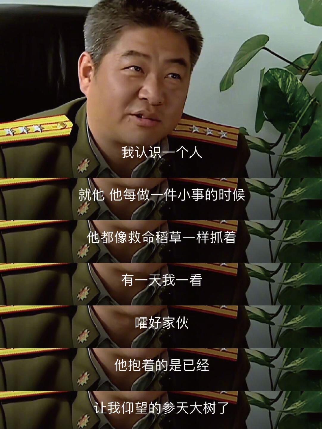 《士兵突击》还是有点太全面了剧综汇精彩