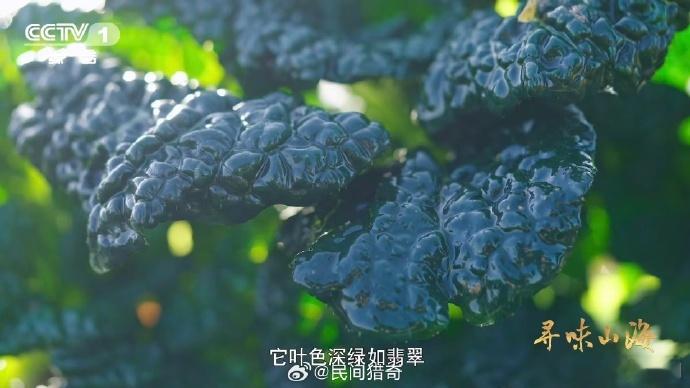 会吹泡泡的蔬菜湖北有种0摄氏度严选青菜 第一次见会“吹泡泡”的青菜！就是湖北的泡