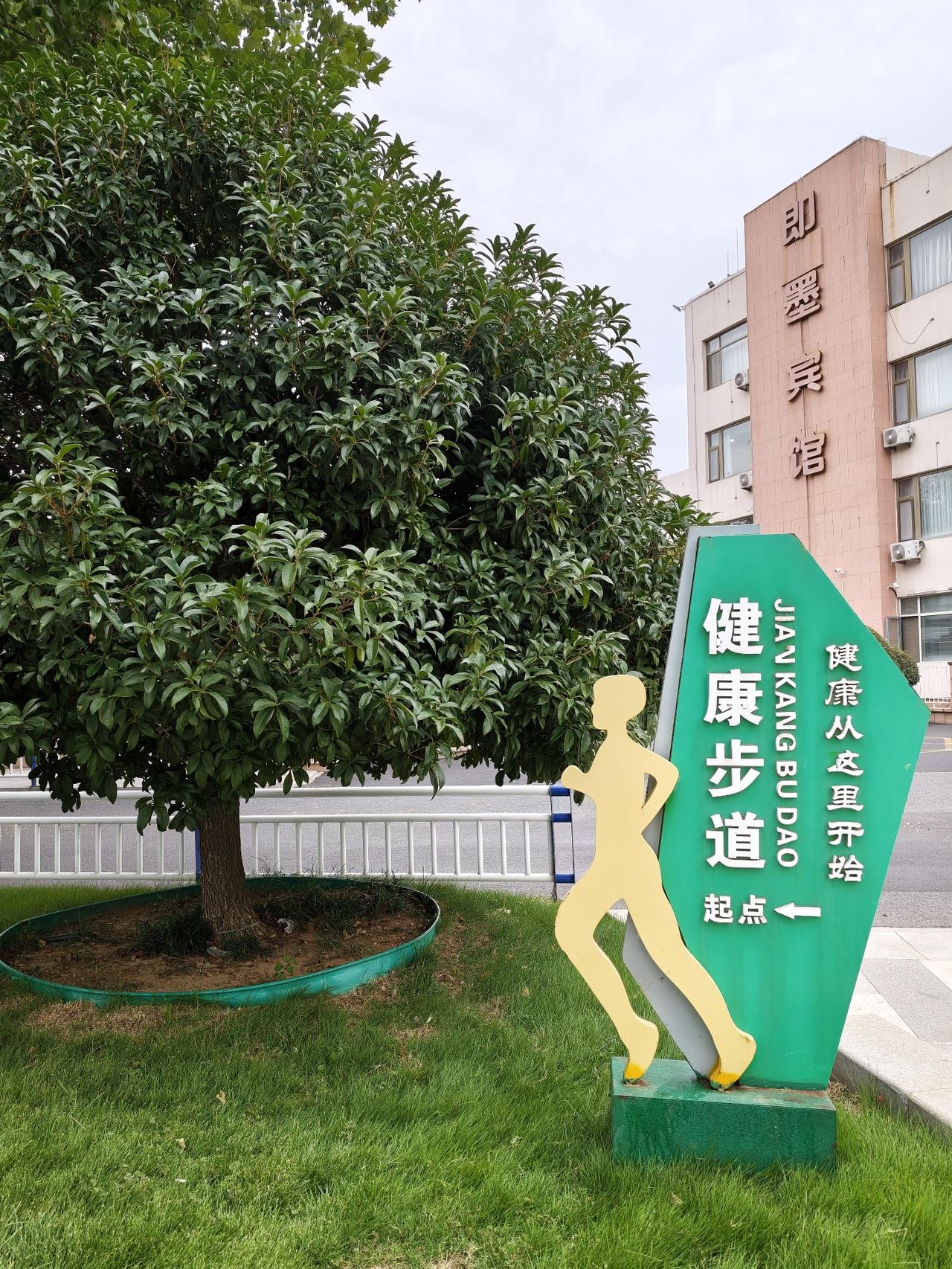 现在的睡眠质量比以前好多了，但偶尔还有失眠的情况。
不过，一般情况下，头一天晚上