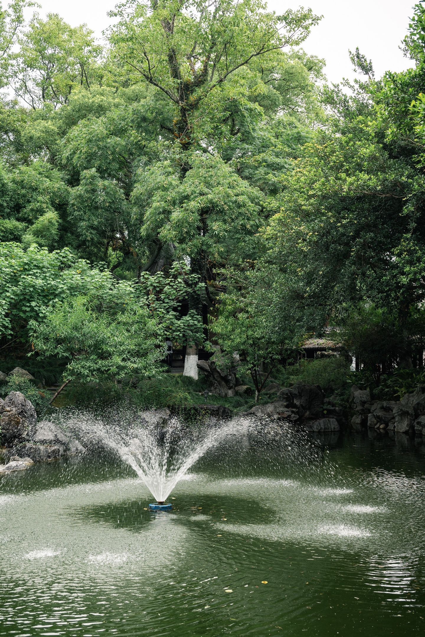 🌿 我的元气假期 偷得浮生半日闲，藏在温州的江南秘境——墨池公园 📖假期的正