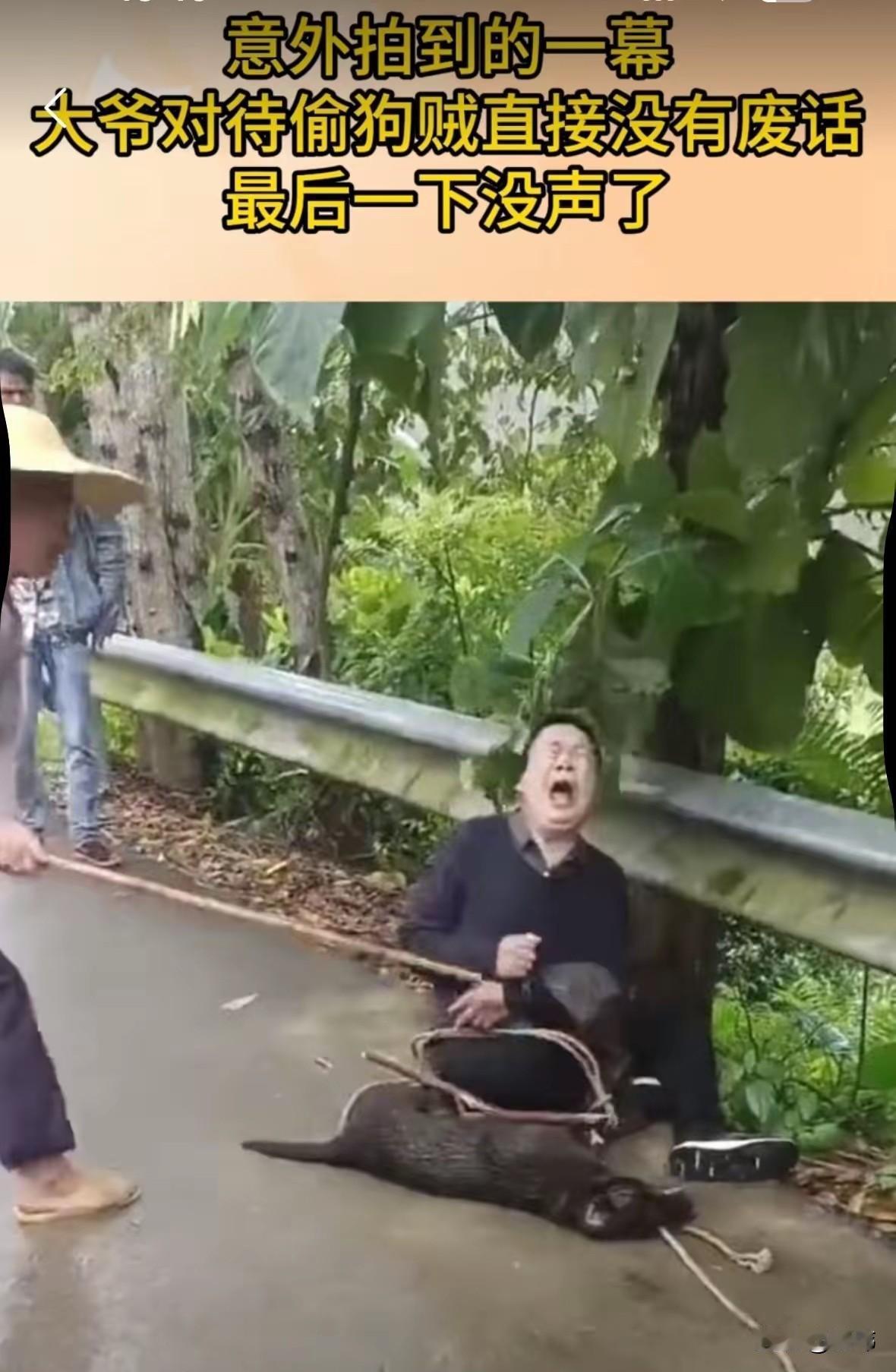 太坏了吧！一位老大爷几年前收养了一只流浪狗，从此和狗狗相依为命，彼此都很依赖对方