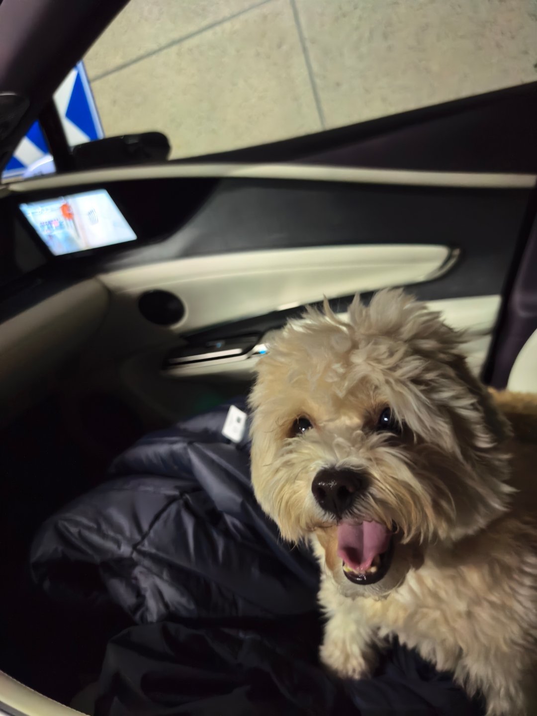 又出发了，回阳泉平定县看爷爷去说最近老爷子精神很好，反而是我奶奶得知消息后天天以