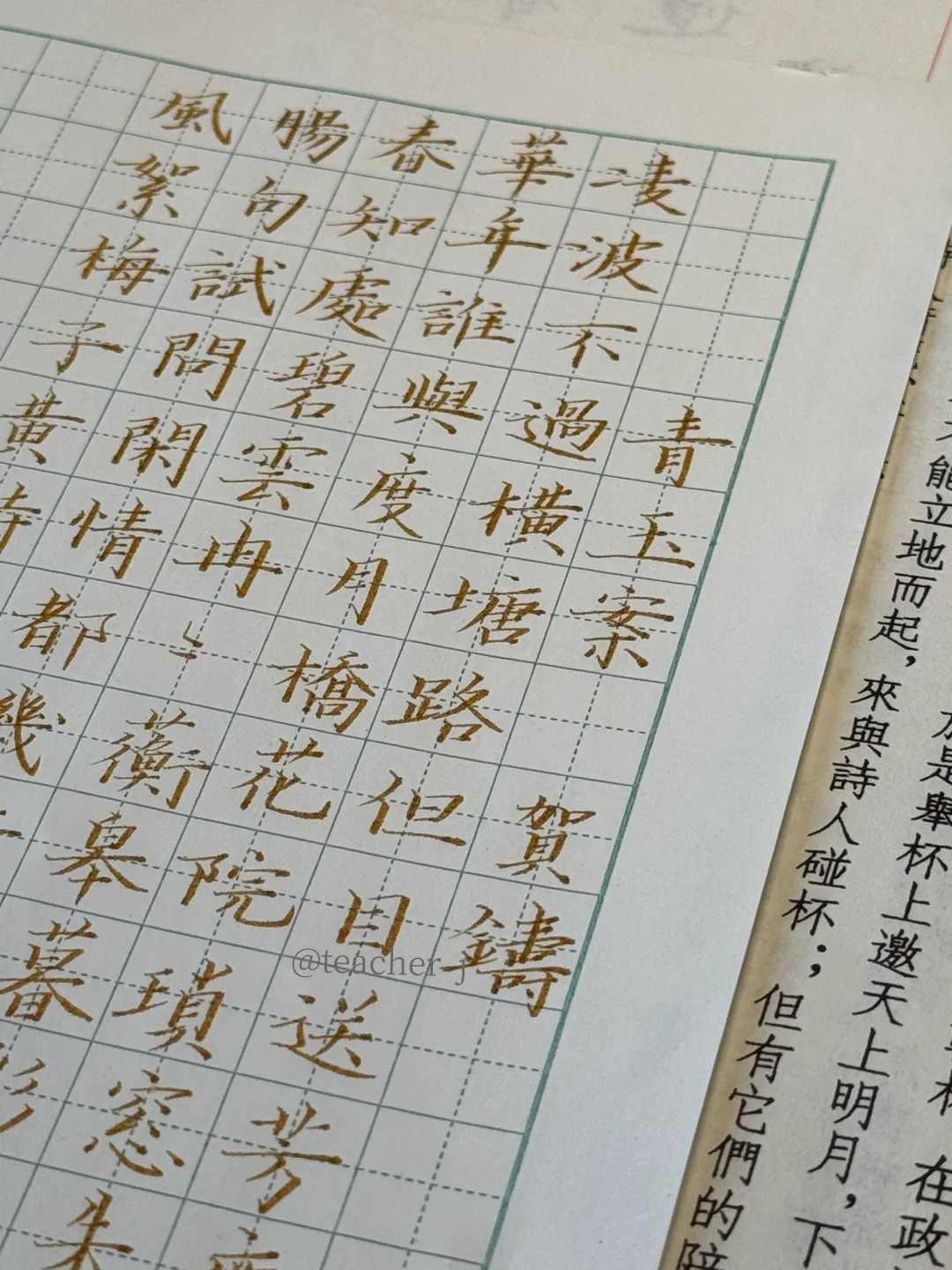 青玉案｜书法日课