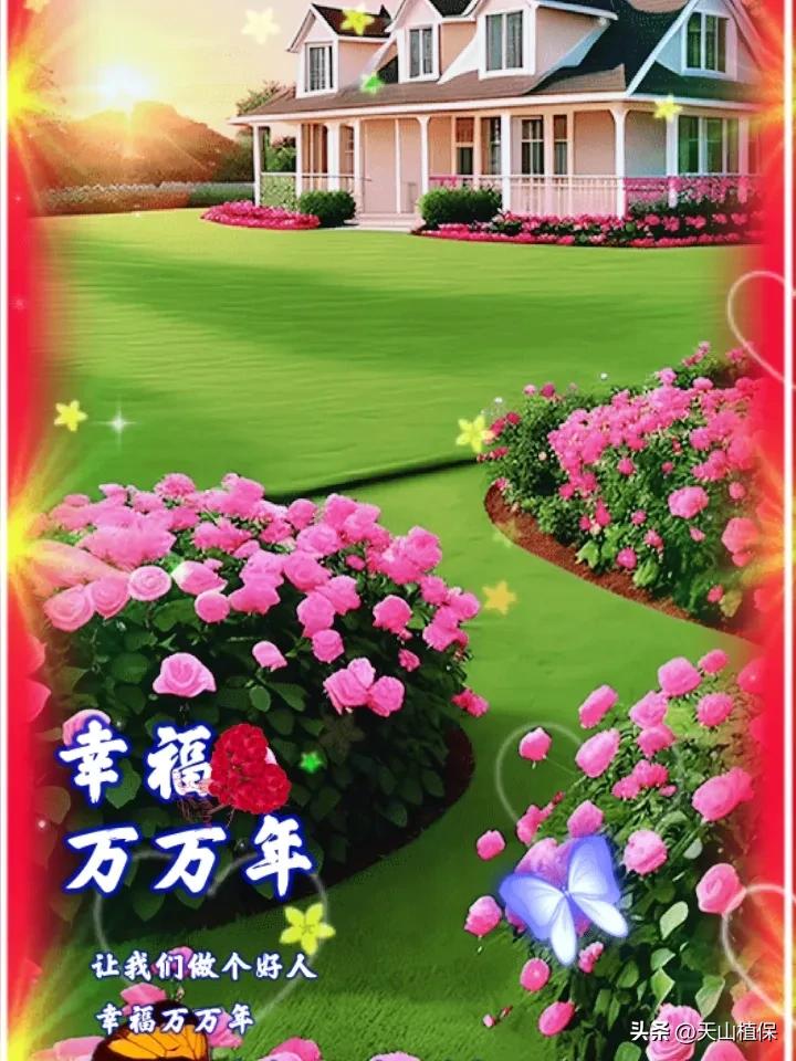 夏日生活打卡季 末伏日到啦，可得多注意生活细节。千万别去野河沟游泳，末伏水温表面