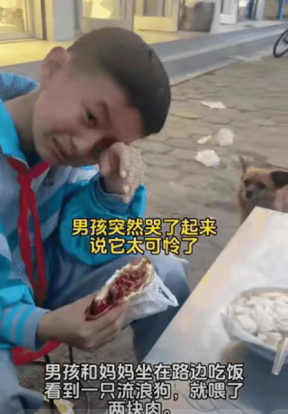 何女士和儿子在路边吃饭的时候，一只流浪狗上前向他们乞讨食物，男孩喂了两块肉，难过