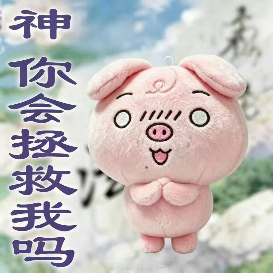 左奇函 张奕然demo…demo…demo…demo…这么关心我们来买 ​​​