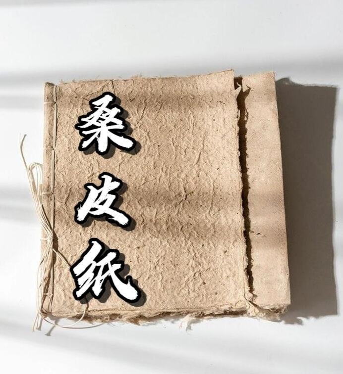 中国文化桑皮纸：穿越千年的“活化石”🌳起源与原料  • 身份：中国西部维吾尔族