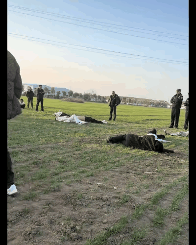 外孙给姥姥姥爷上坟，正好跟舅舅家的人遇上了，结果两家人打起来了。
具体为啥说不清