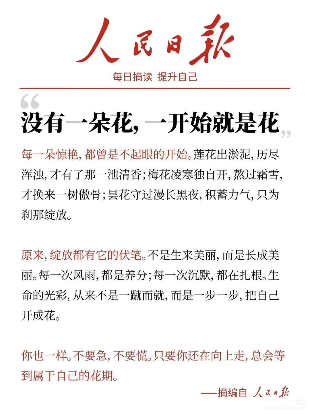 春日生活打卡季春天的美女象花一样