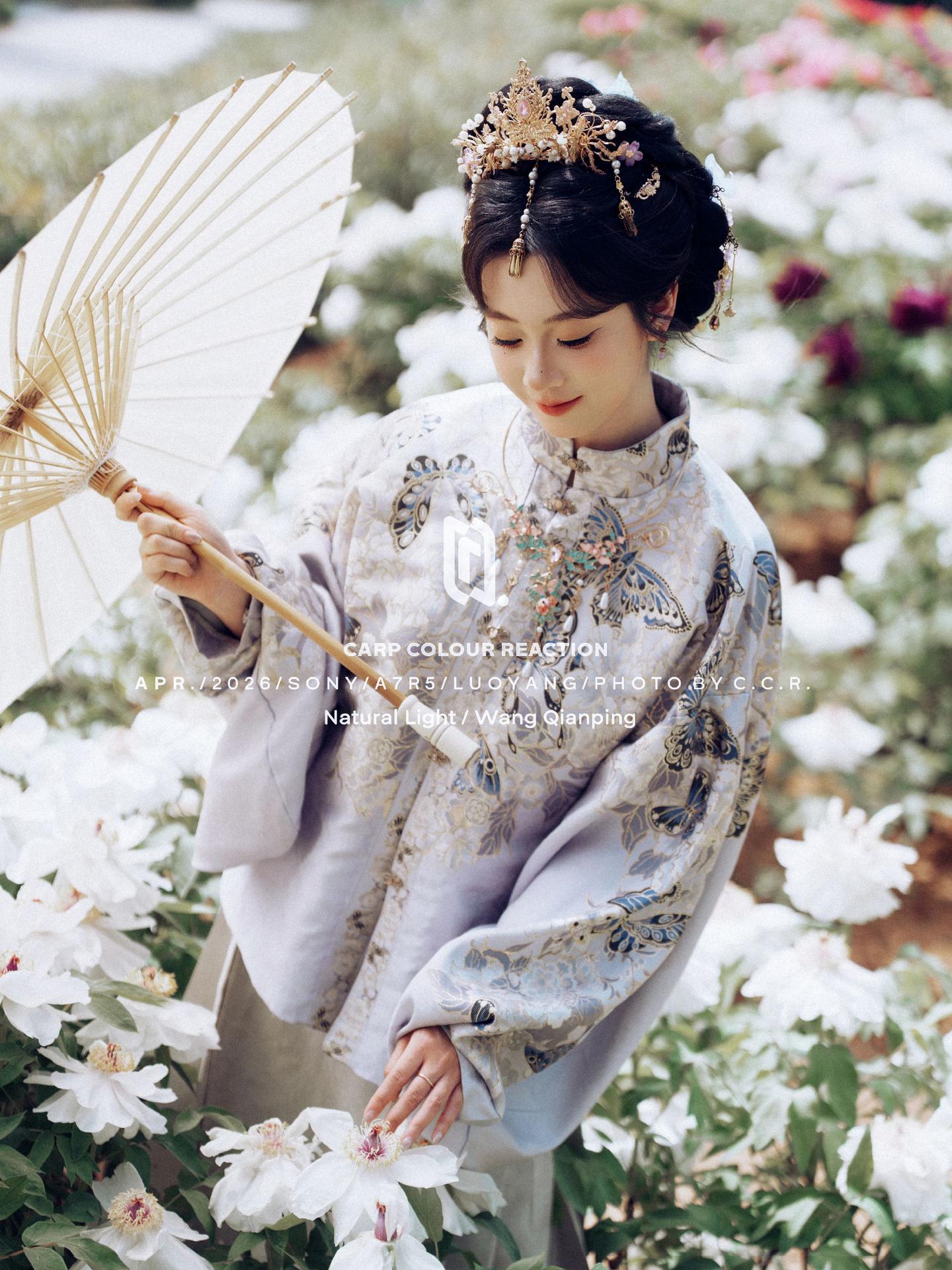 自然光闪光灯黑柔什么都可以。