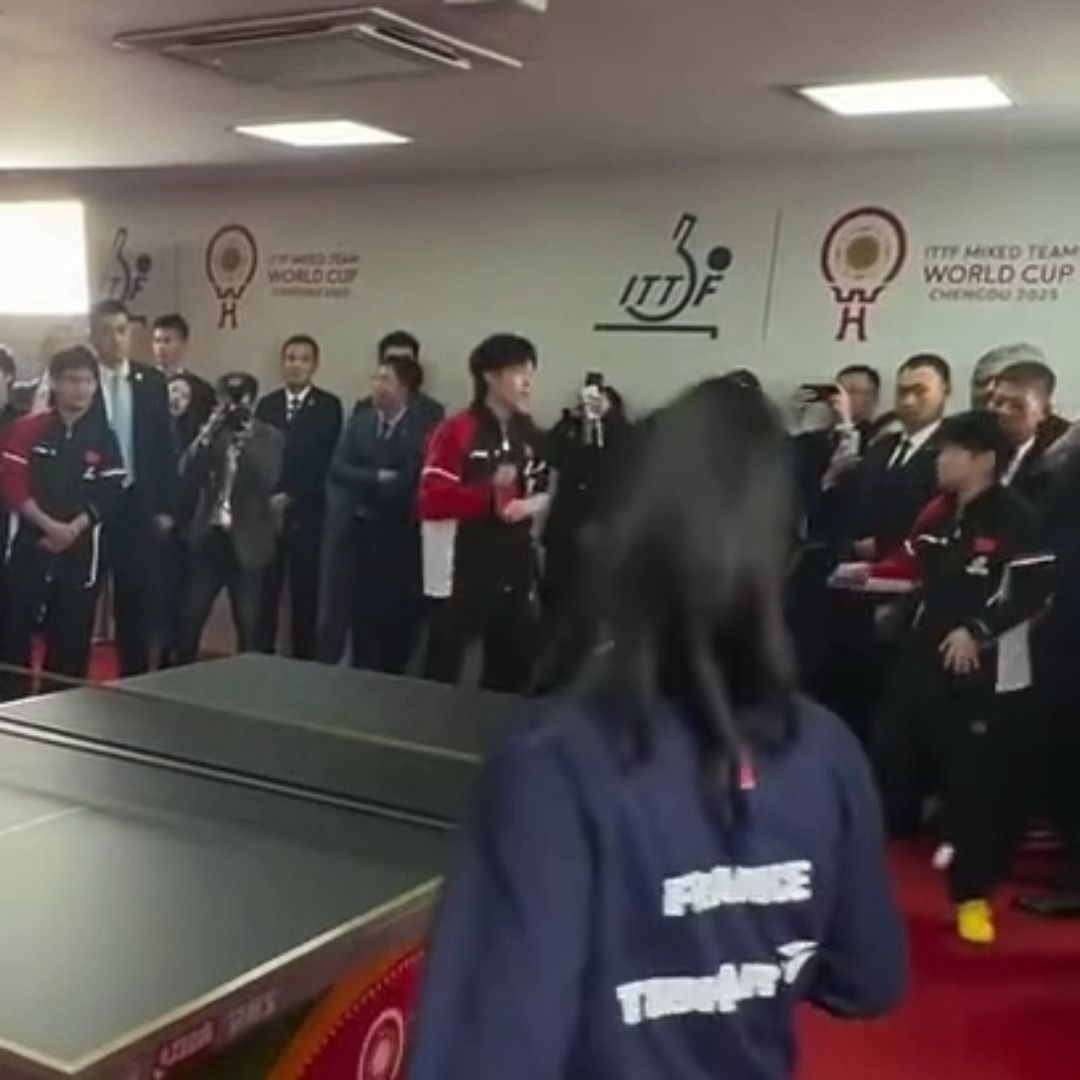 自己球打到咪 把咪吓着 还要装出一副很害怕老婆的样子