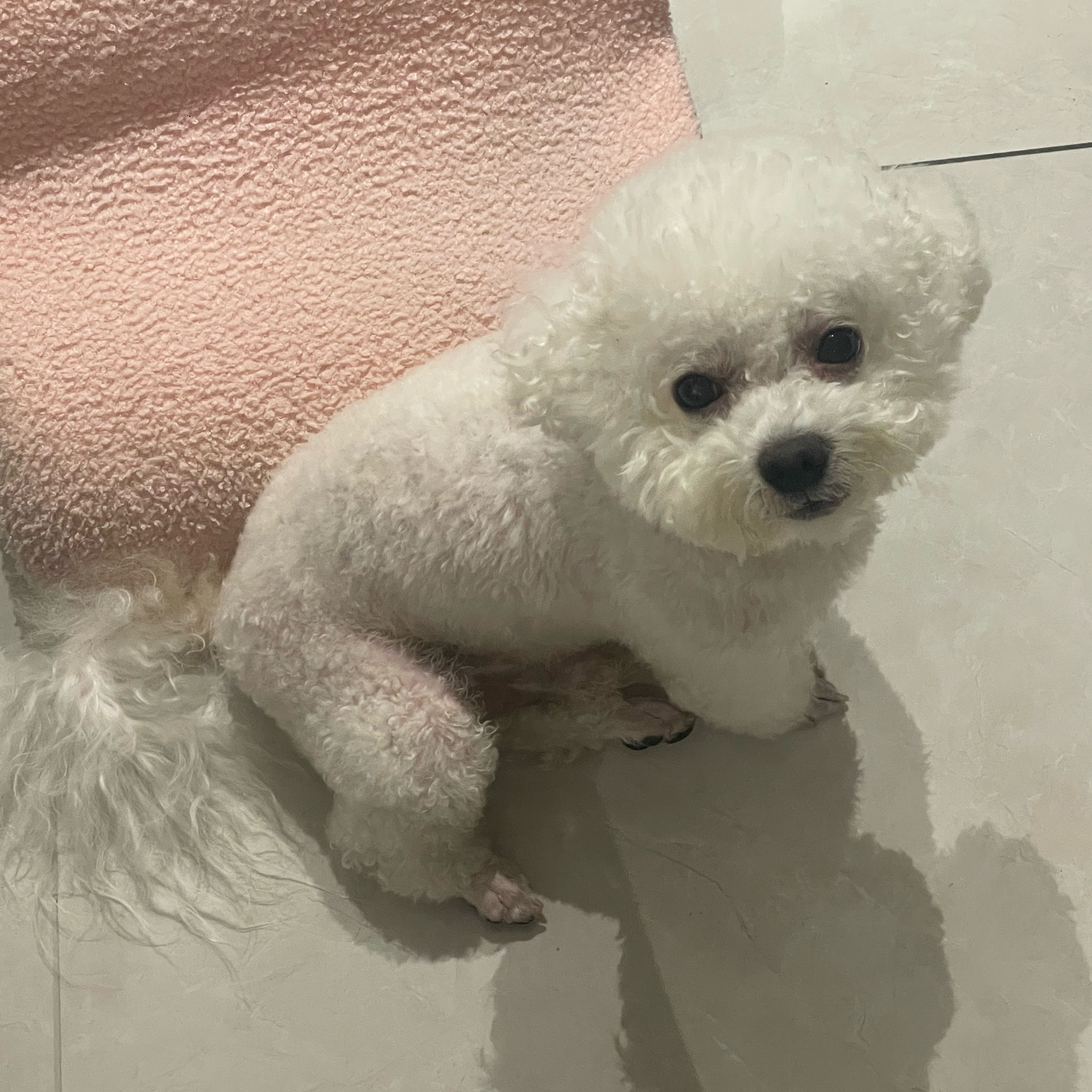 跟我回fà国 这不是商量 