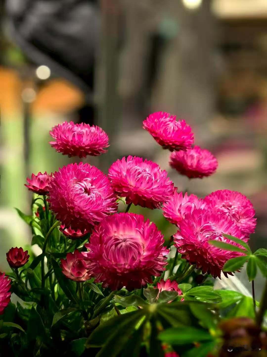 分享一张你随手拍的风光