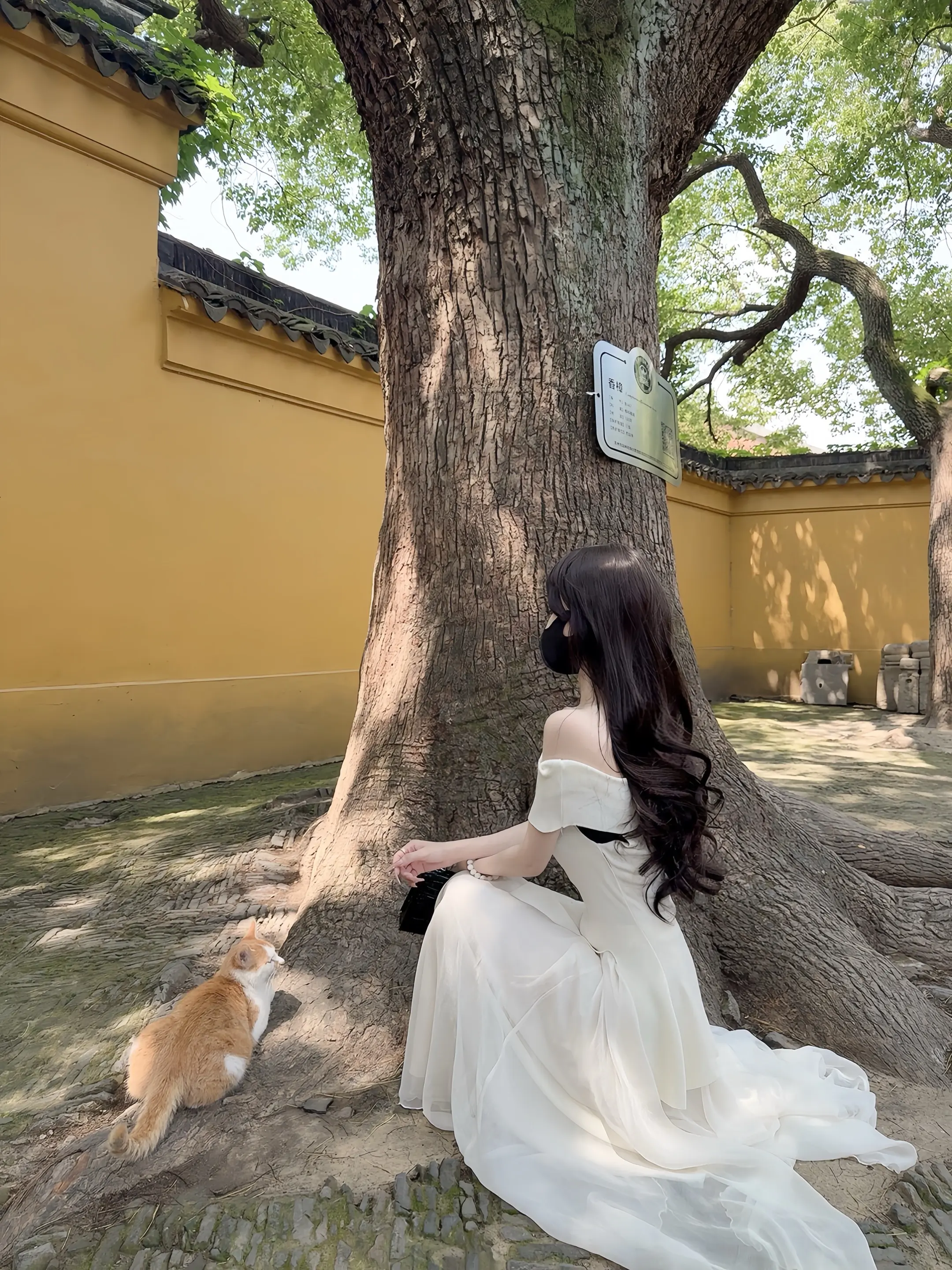 我的坏不是天生的 而是在你的爱下滋生的 因为无论好坏 你都会把我当成最喜欢的小孩