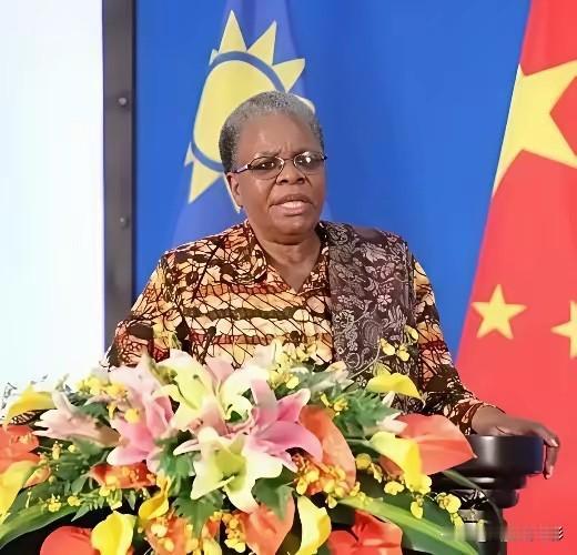前脚非洲国家纷纷效仿印尼锁矿，影响中资企业在非投资，后脚中国和纳米比亚联合声明，