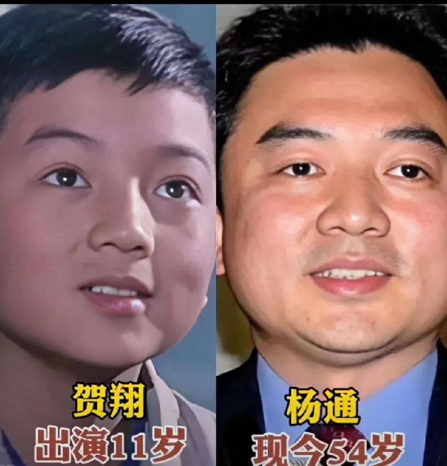 《飞来的仙鹤》这部电视剧演员都特别好。
《飞来的仙鹤》这部影片热映后，不仅得到了