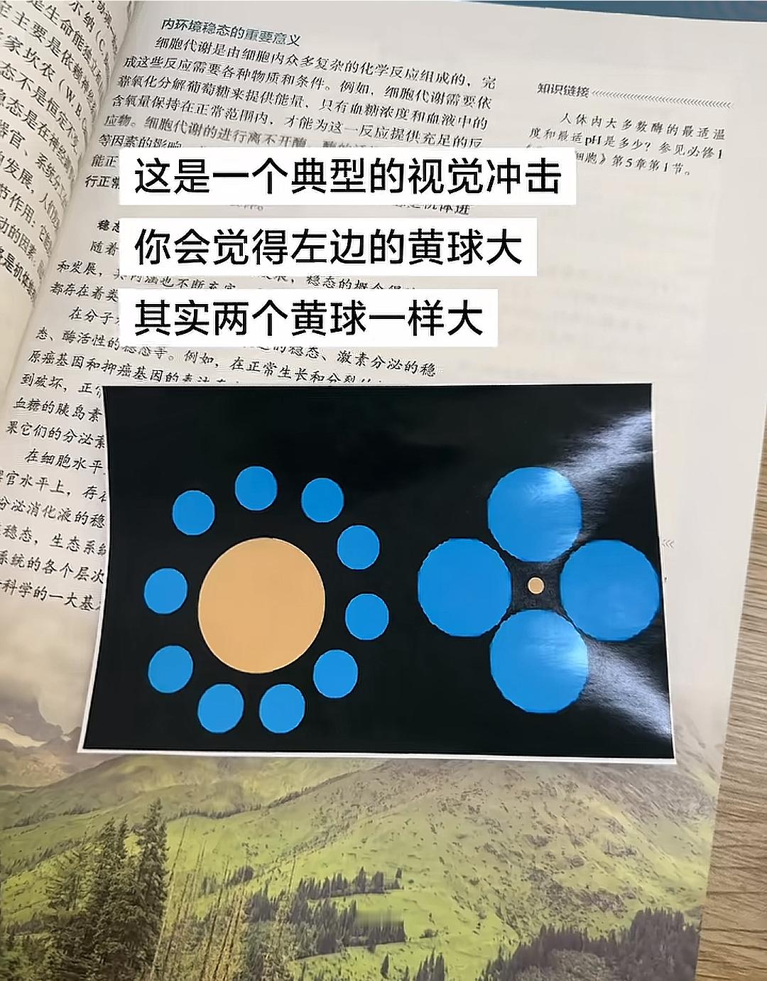 这是典型的智力冲击啊 ​​​