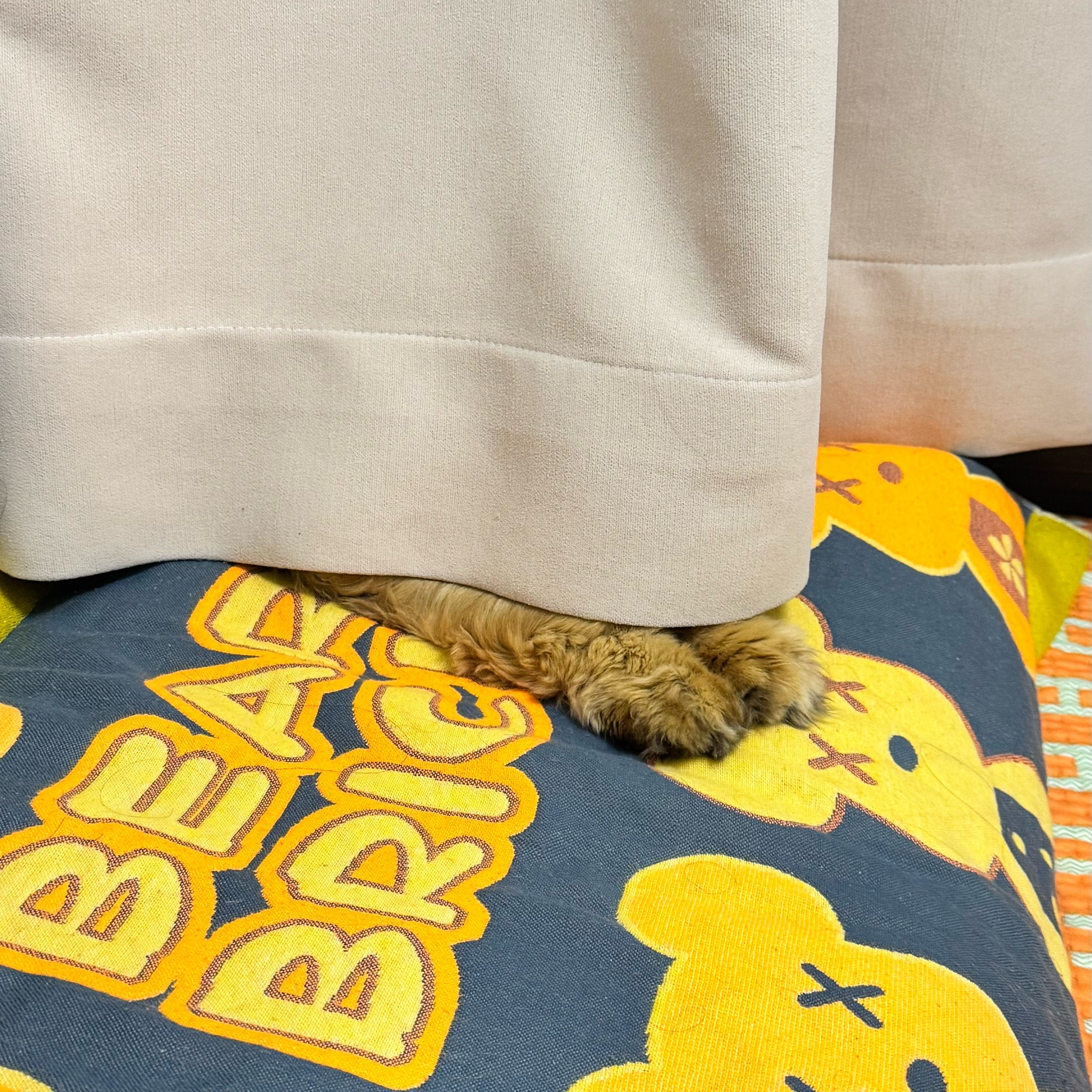 让我找了十分钟，原来躲在这里