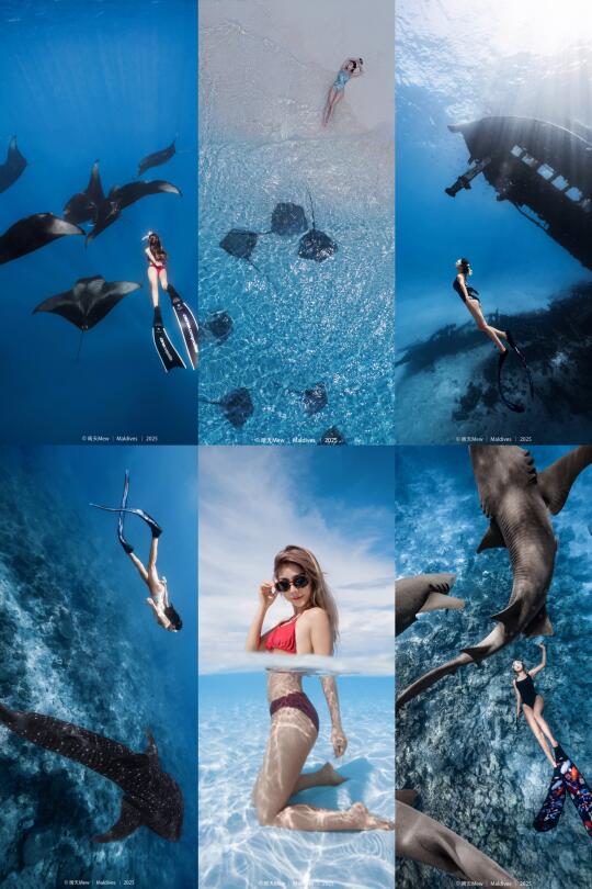 马尔代夫🇲🇻来，做一次蓝色的梦🌊