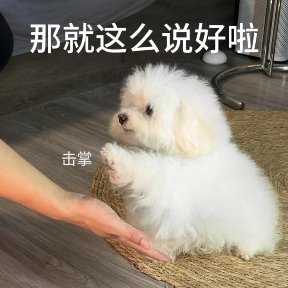 吴宣仪wxy吴宣仪931演唱会成都站 明天就演唱会啦 朋友们今天能多发一点就多发