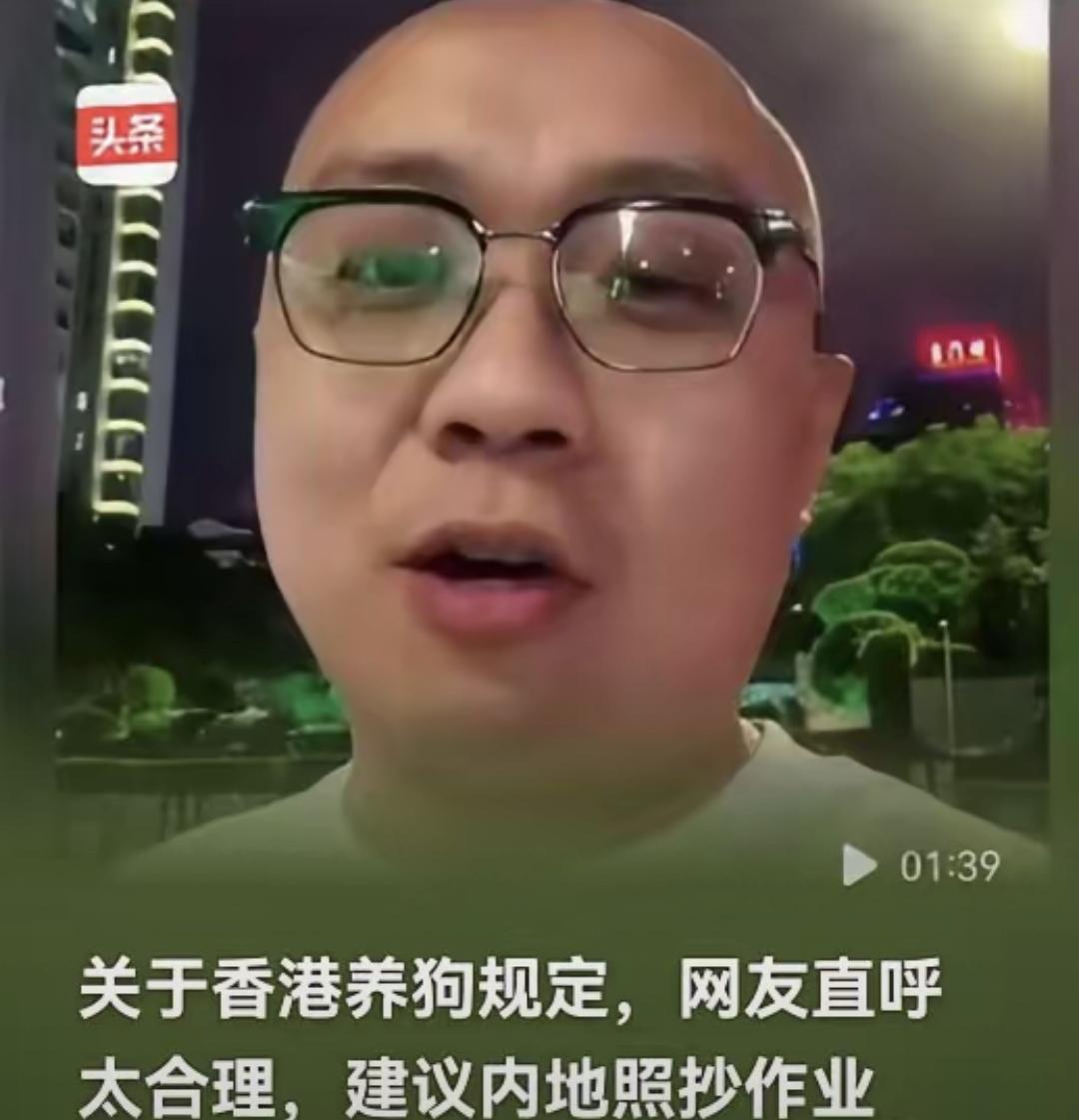 狗乱跑、粪不捡、咬人不负责，香港养狗真这么狠？
不是管狗，是立规矩：解码香港养犬