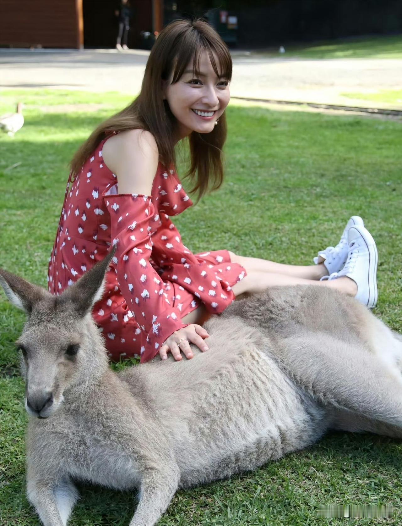 吴昕在澳洲与袋鼠互动，开心的样子阳光又可爱！