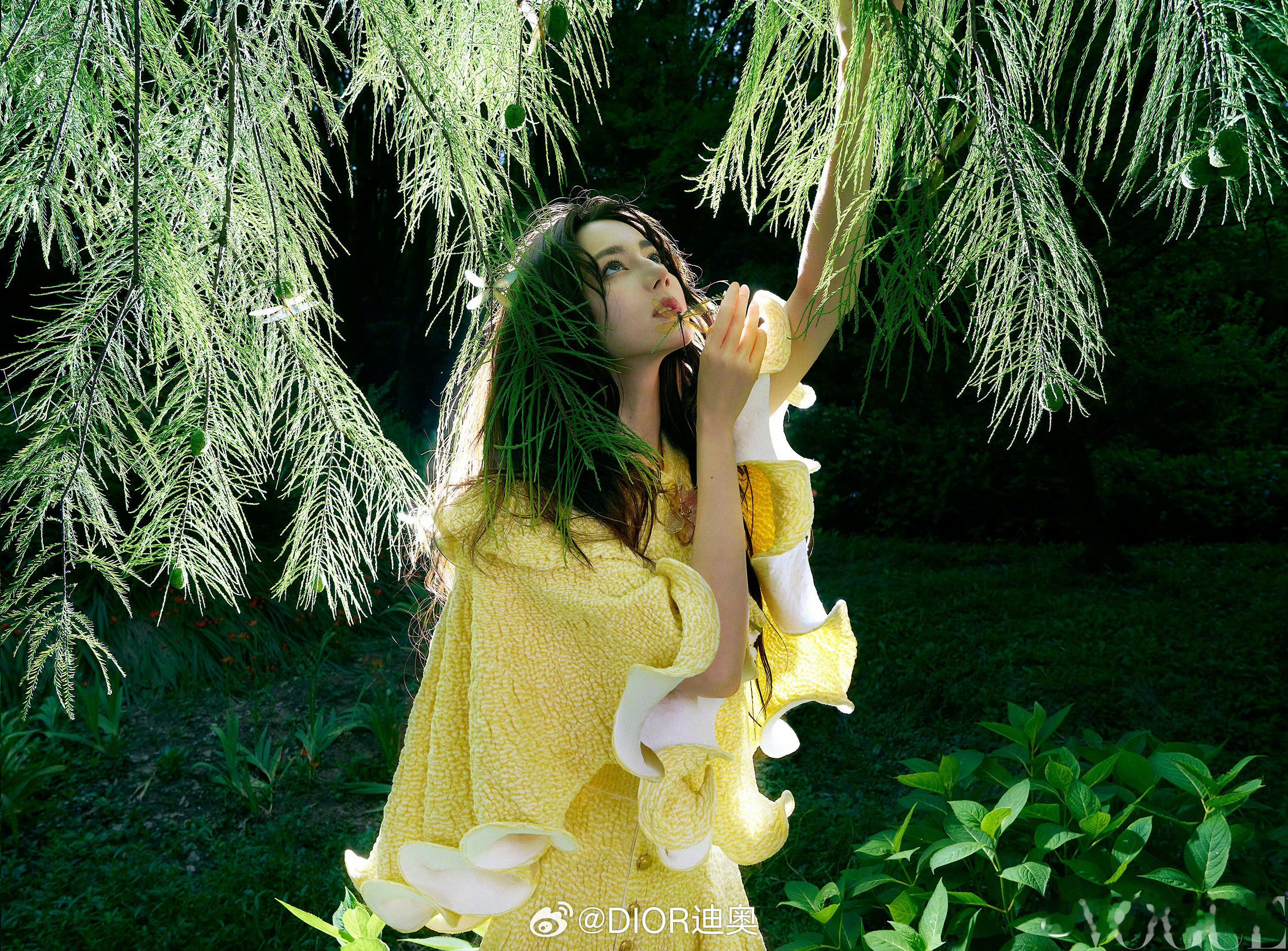 迪丽热巴[超话]迪奥认领迪丽热巴VOGUE八月刊期待手握二十多亿票房电影女主迪丽