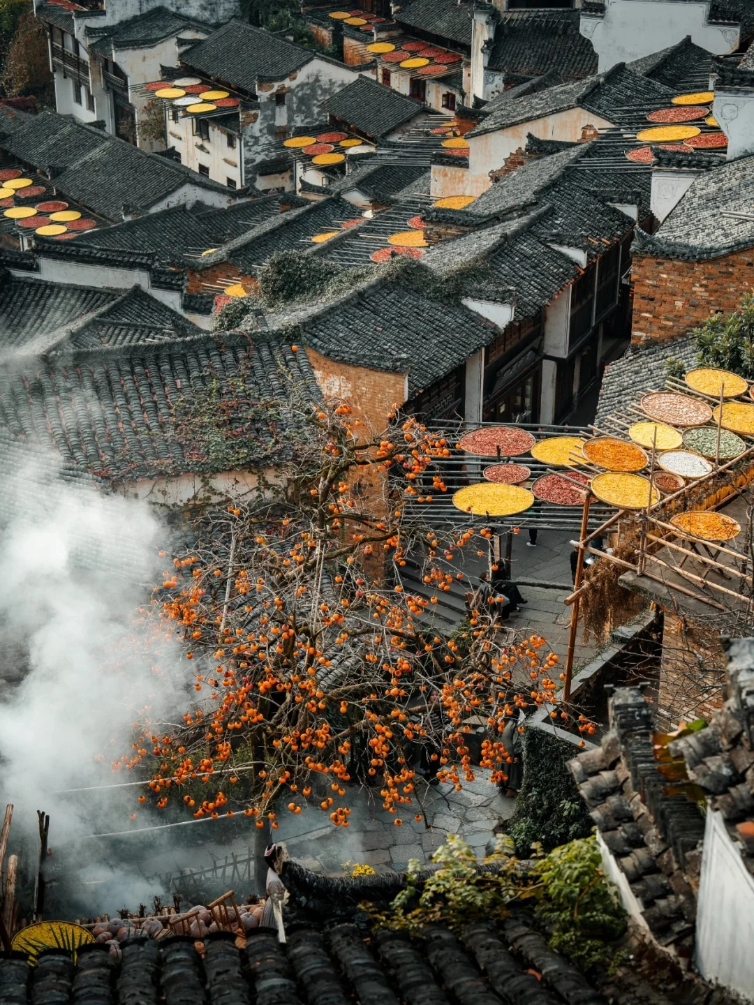 即将+1! 江西这些5A级景区，你去过几个？