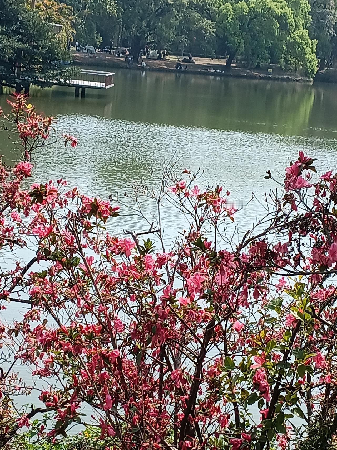 春日生活打卡季。春风化雨，润物无声。春天的花朵更鲜艳，雨润花更艳，愿青春更美好，