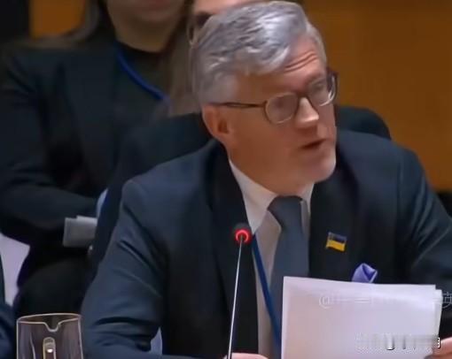 乌克兰常驻联合国代表安德里·梅尔尼克：

“我们的领土和主权不是出售的。我们又不